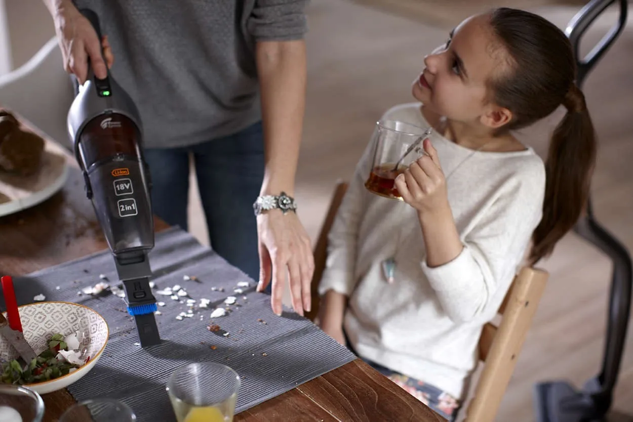 Пылесос Philips FC 6168 в Москве и Московской области от магазина Ammina