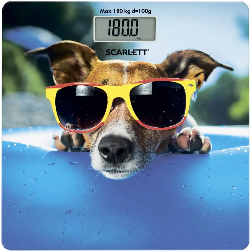 Весы Scarlett SC-BS33E091 в Москве и Московской области от магазина Ammina